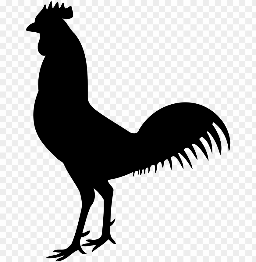 cock png,rooster png,fowl png,crow png,free png,fowl,cock file png