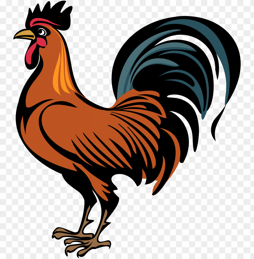 cock png,rooster png,fowl png,crow png,free png,fowl,cock file png