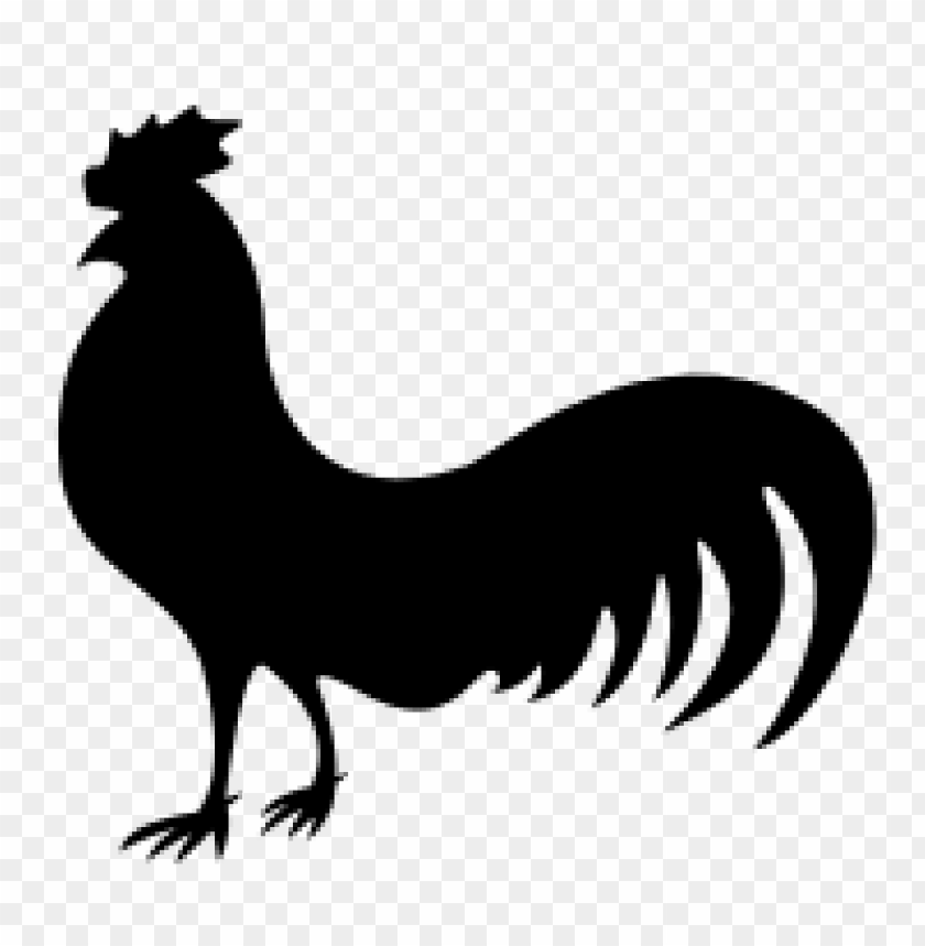 cock png,rooster png,fowl png,crow png,free png,fowl,cock file png