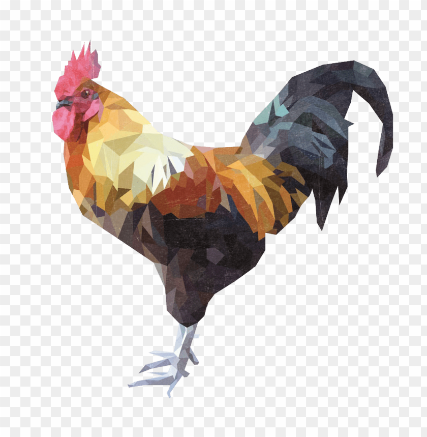 cock png,rooster png,fowl png,crow png,free png,fowl,cock file png