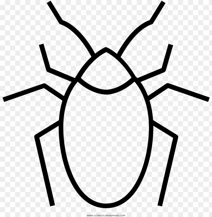 cockroach, draw, banner, drawing, decoration, sketch, sign