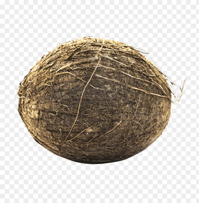 Coconut PNG, food, fruit, object