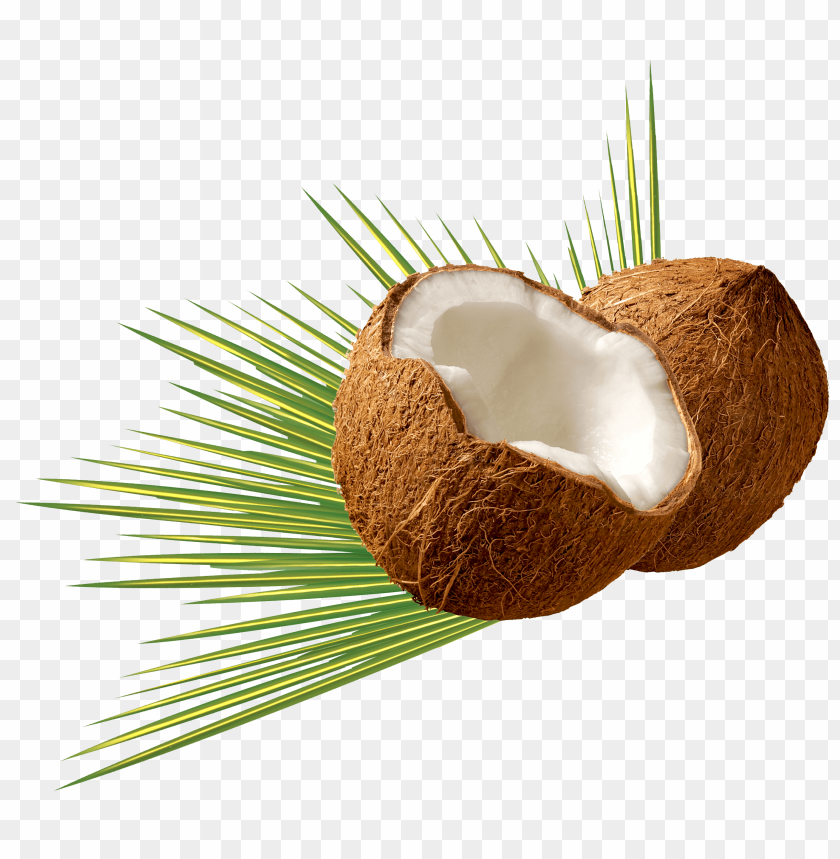 coconut, tropical fruit, healthy snacks, natural oils, vegan recipes