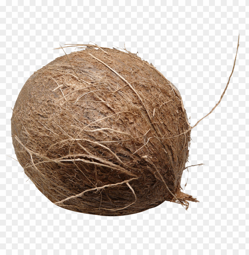 Round coconut coir ball with fibers, isolated on transparent background.