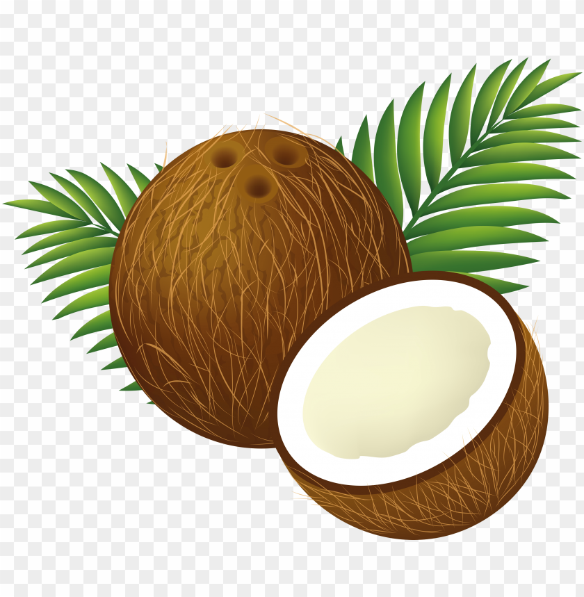 
coconut
, 
coco
, 
food
, 
delicious
