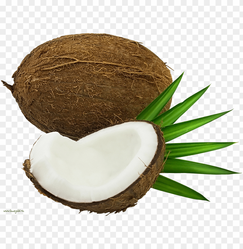 
coconut
, 
coco
, 
food
, 
delicious
