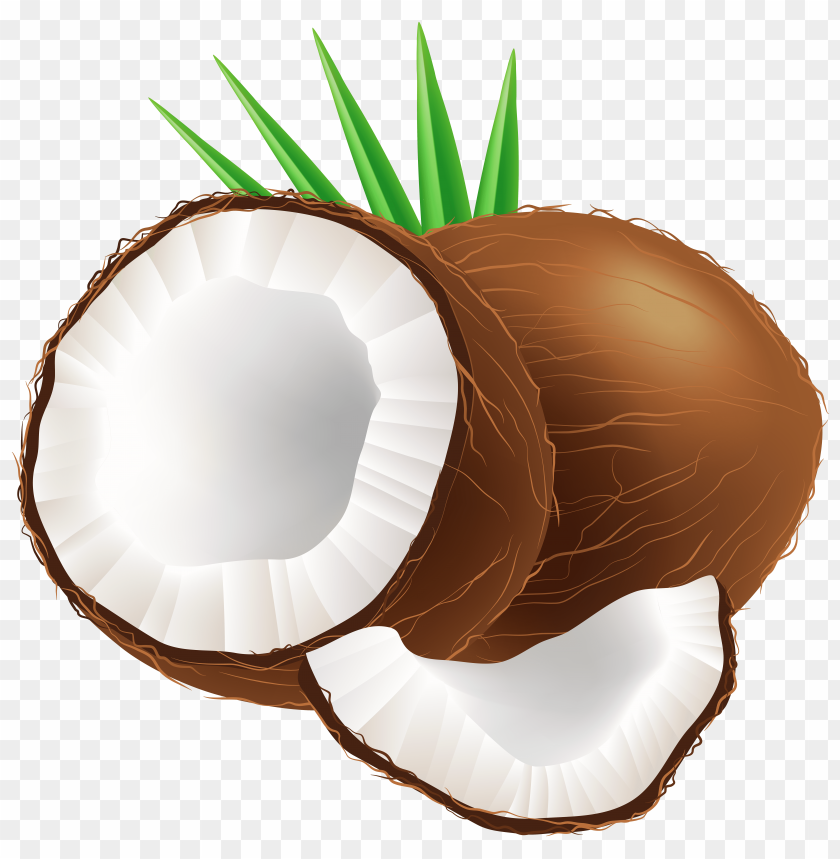 coconut, fruit, tropical, brown shell, white flesh, healthy snacks, nature