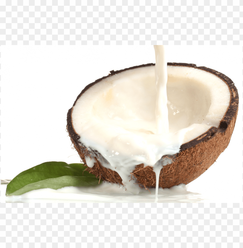 coconut milk