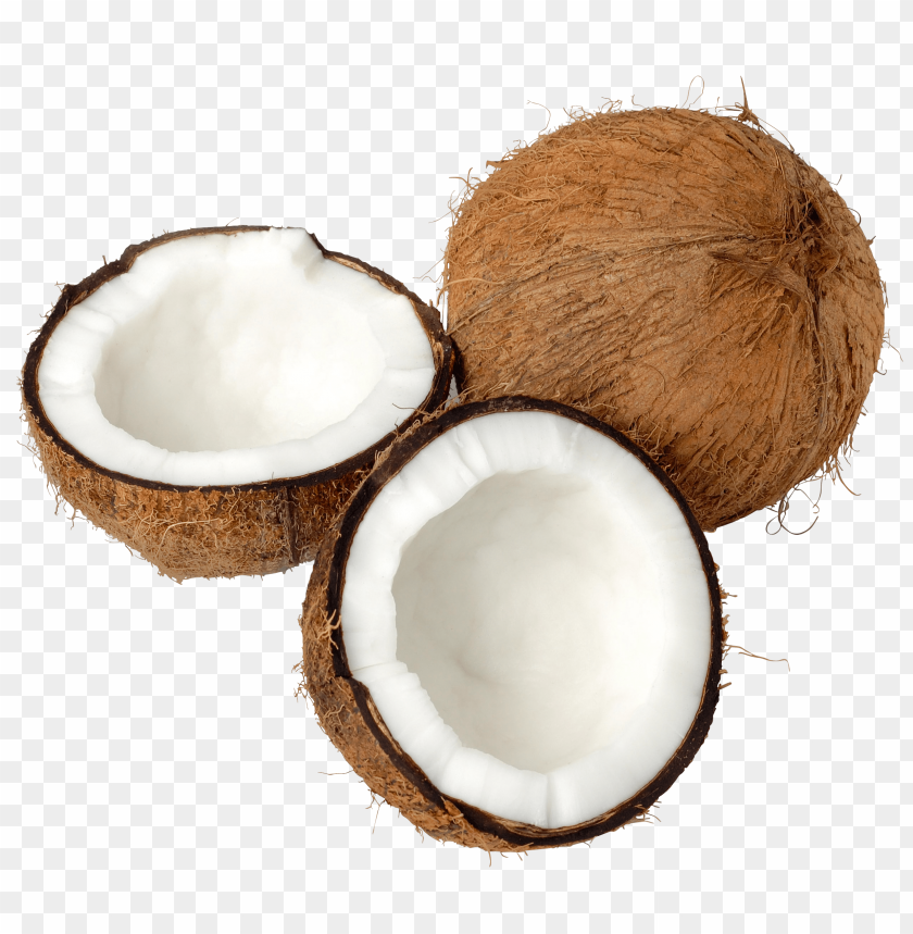 
coconut
, 
cocos nucifera
, 
genus cocos
, 
palm
, 
coconuts
