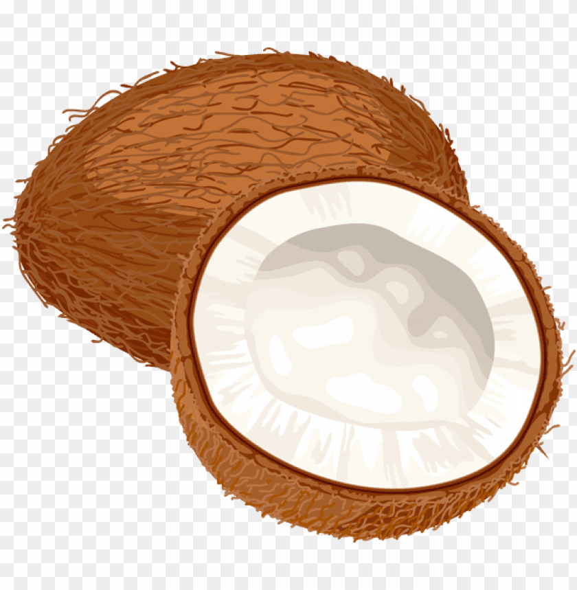 
coconut
, 
cocos nucifera
, 
genus cocos
, 
palm
, 
coconuts
