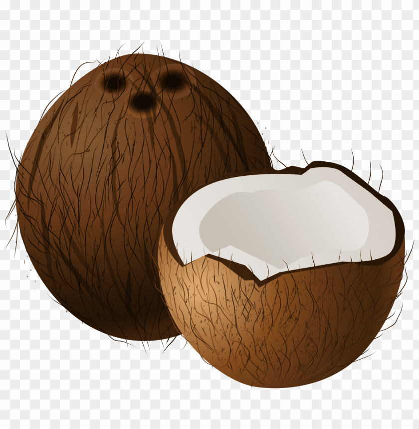 coconuts, png