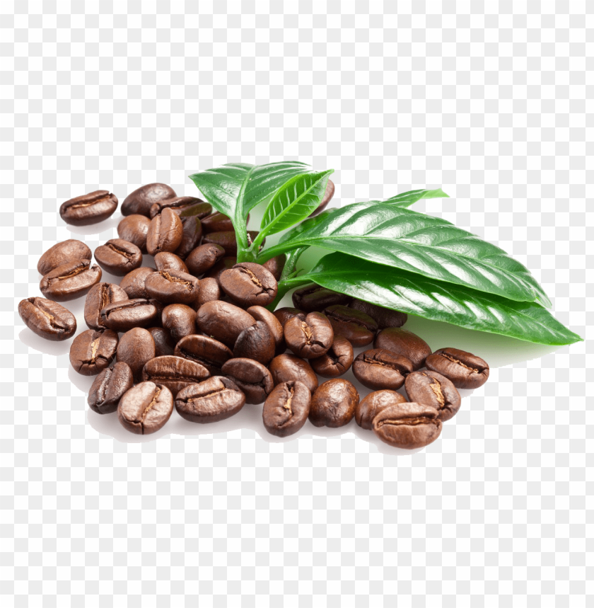 food, coffee, beans, grains,الغذاء ,القهوة, البقول