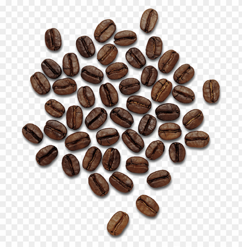 
coffee
, 
coffee beans
, 
stone fruit
, 
peaberry
