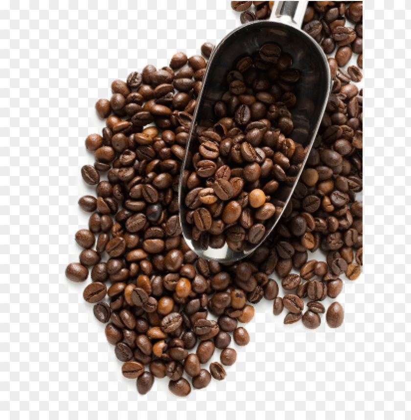 coffee beans, food, coffee beans food, coffee beans food png file, coffee beans food png hd, coffee beans food png, coffee beans food transparent png