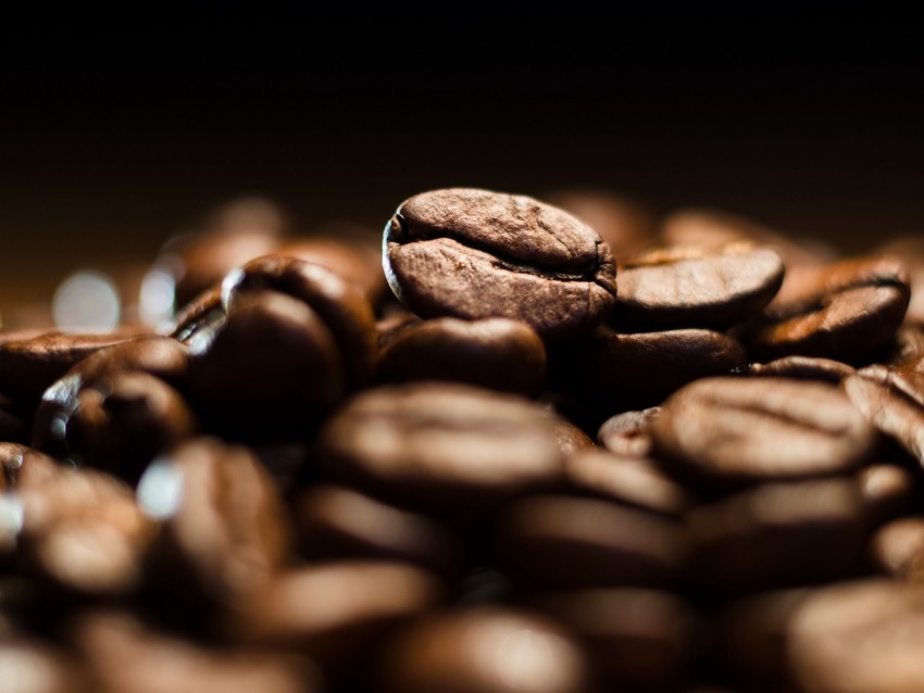 Coffee Beans Roasted Brown Background