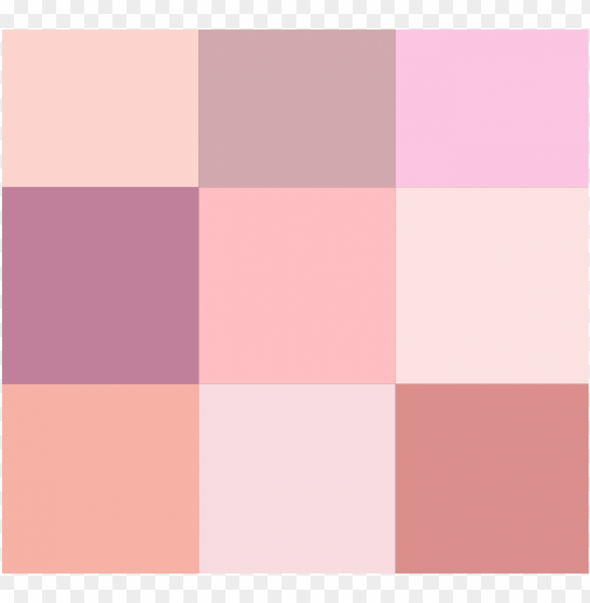 rose,color,pink