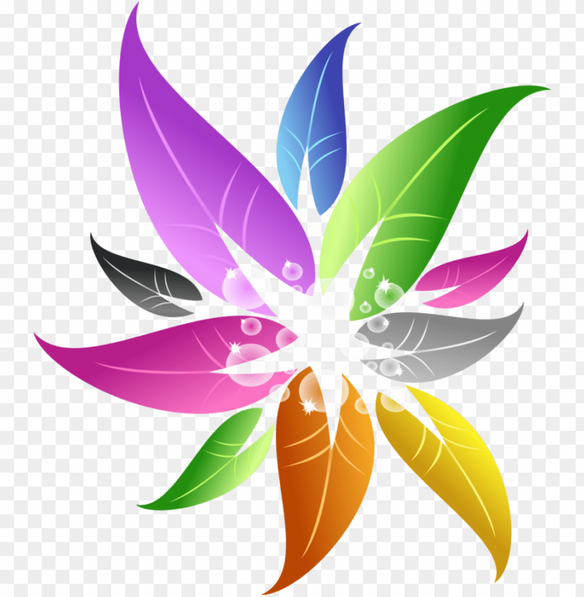 colorful floral design png, design,png,color,floral,colorful,floraldesign