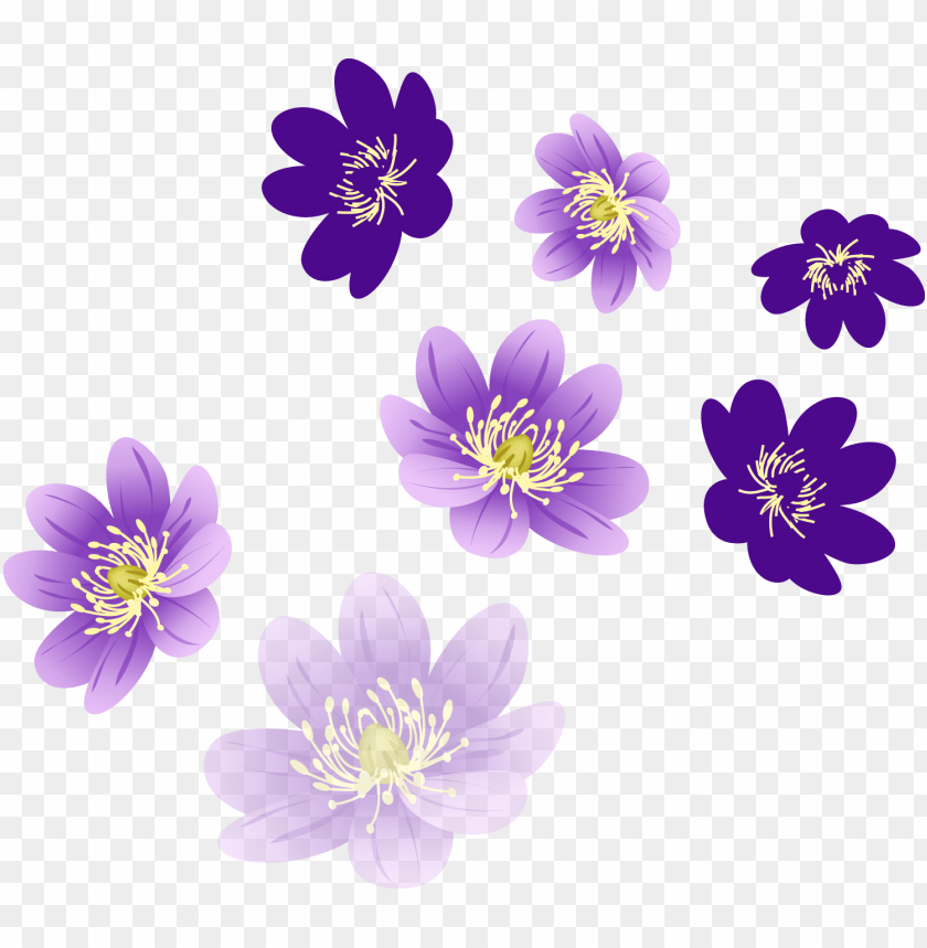 colorful floral design png, design,png,color,floral,colorful,floraldesign