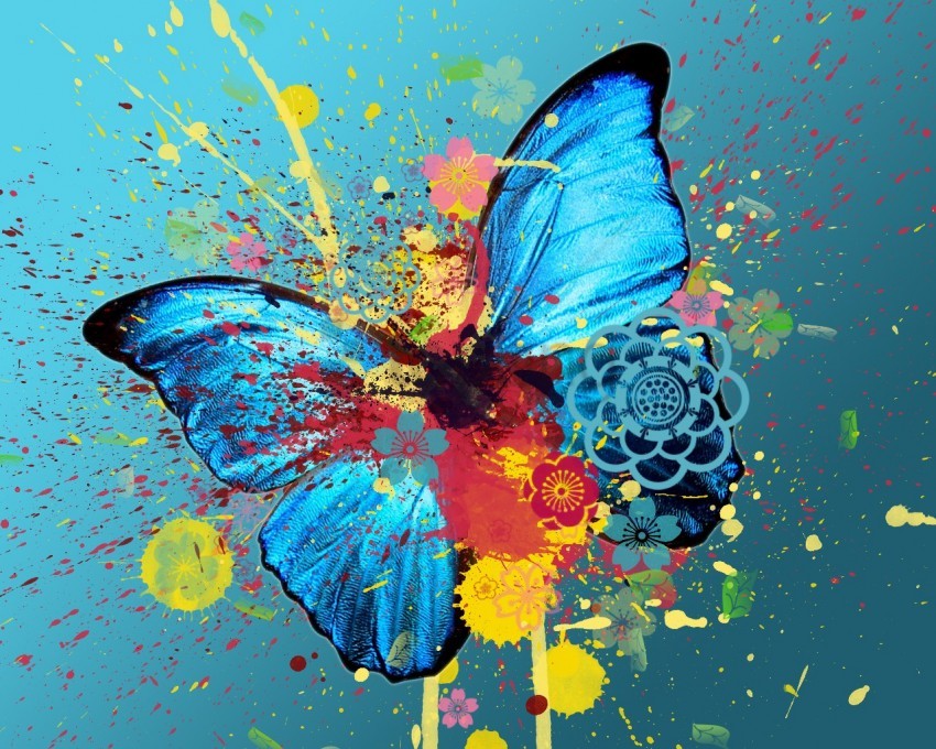 colorful paint splash wallpaper, colorful,paint,wallpaper,color,splash