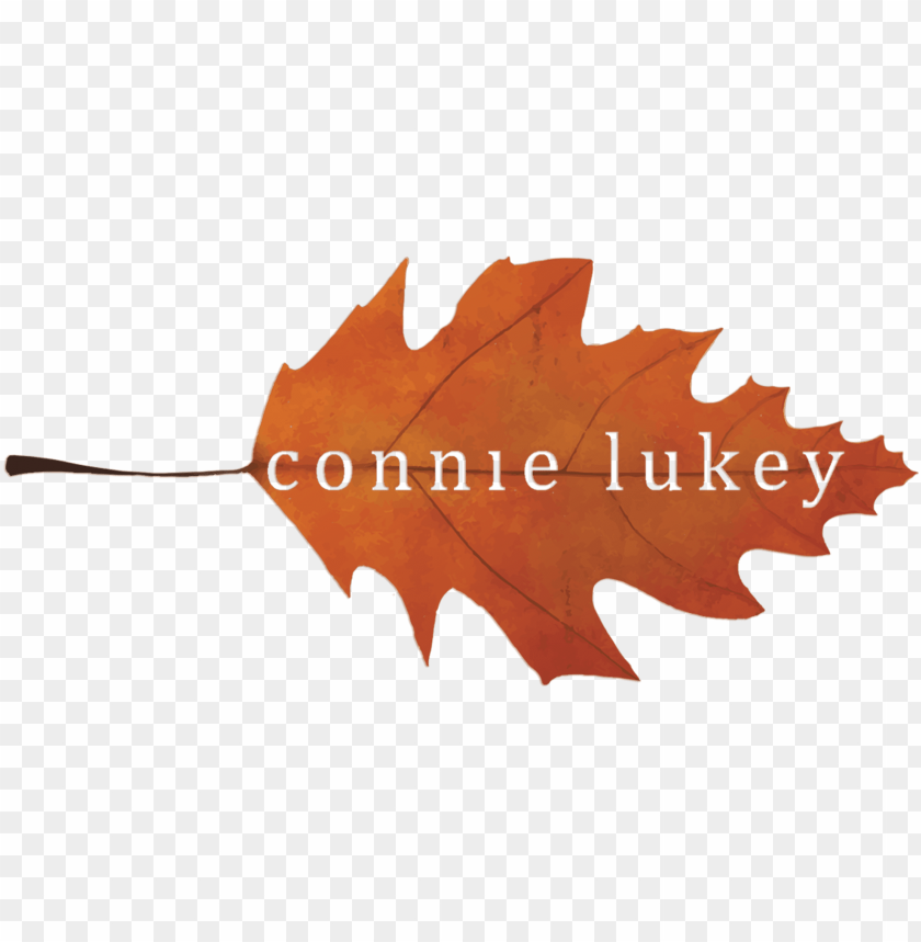 phone, fall, love, season, office, leaves, wedding