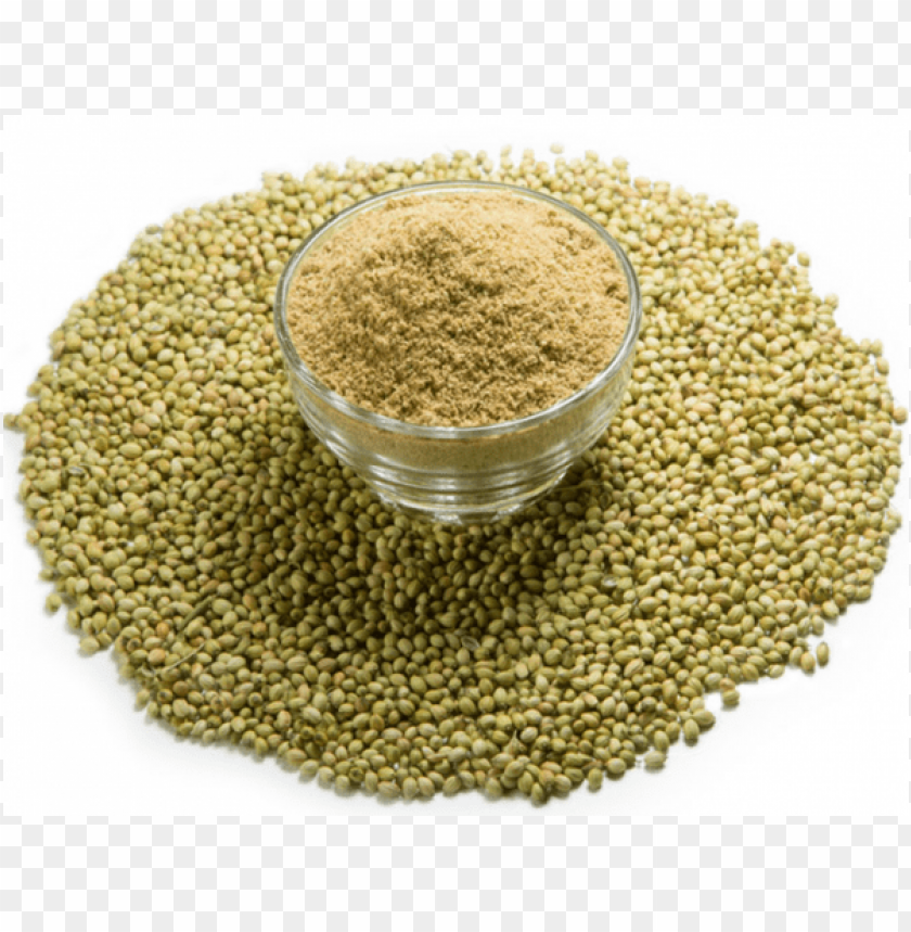 coriander powder