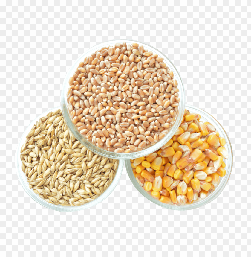 
vegetables
, 
corn
, 
maize
, 
sweet corn
, 
grain
, 
dent corn
