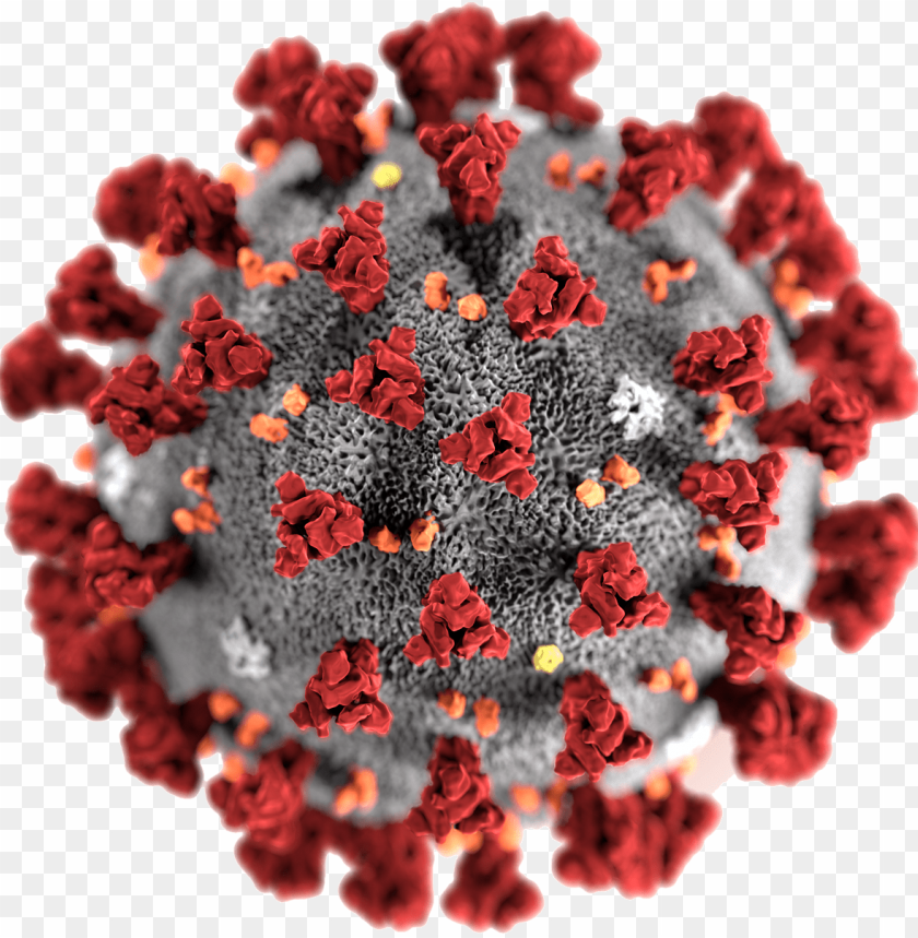 Coronavirus PNG Transparent Background