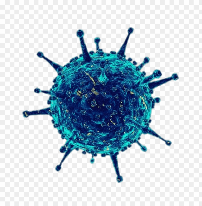 coronavirus,covid-19,virus