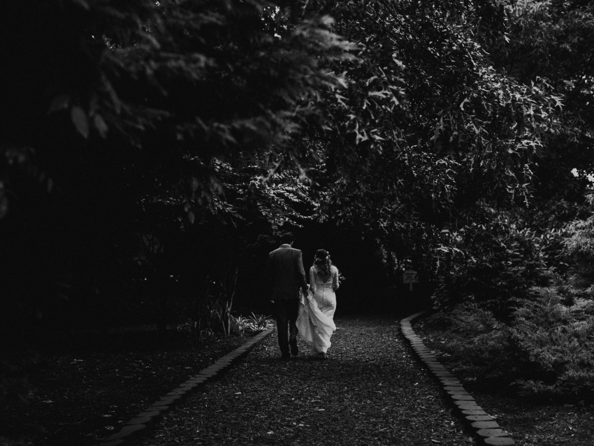 couple, love, bw, wedding, path