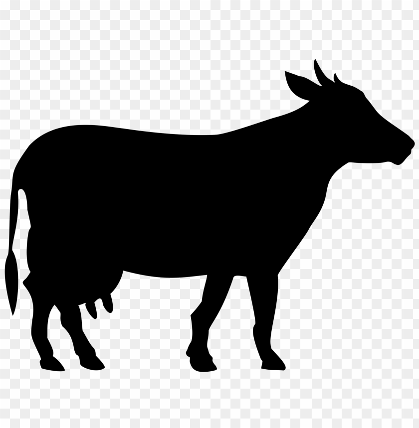 
cow png,creature png,spook,scare,terrify,terrorize,daunt