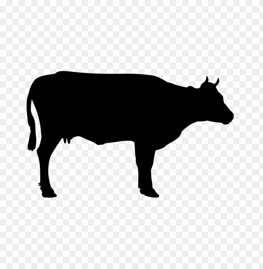 
cow png,creature png,spook,scare,terrify,terrorize,daunt