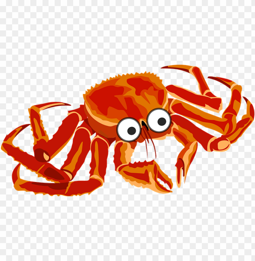 Cartoon red crab with big eyes on a transparent background PNG