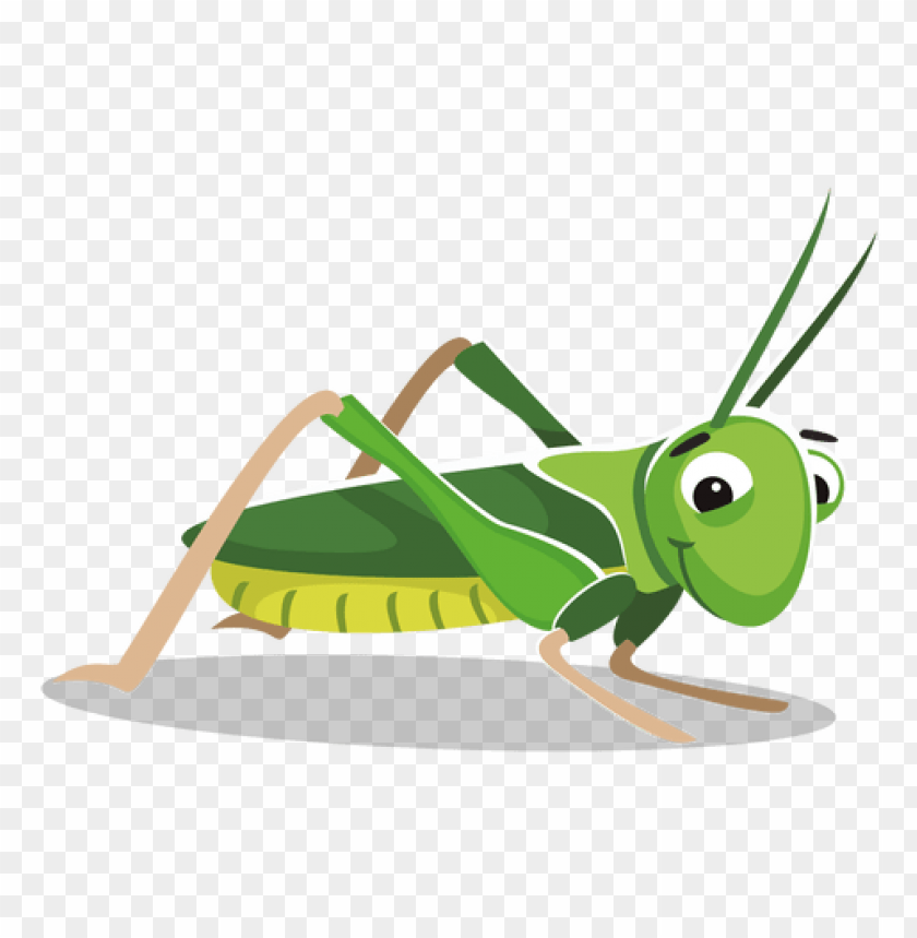 cricket insect,حشرة الكريكيت