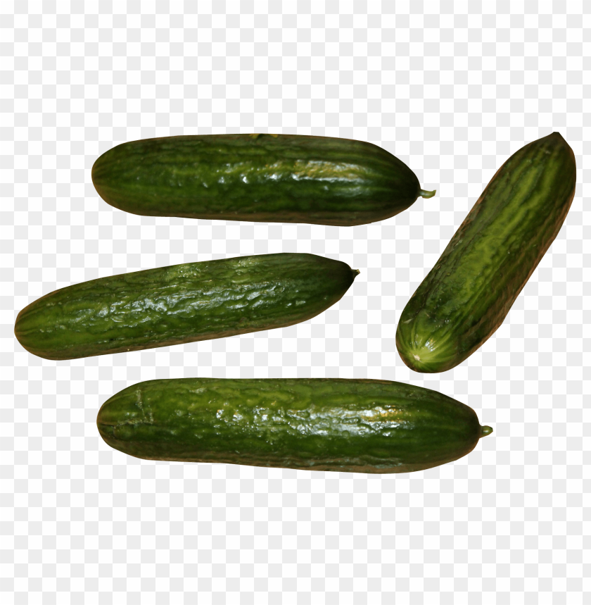 Cucumbers, Health benefits, Recipes, Gardening tips, Nutrition facts