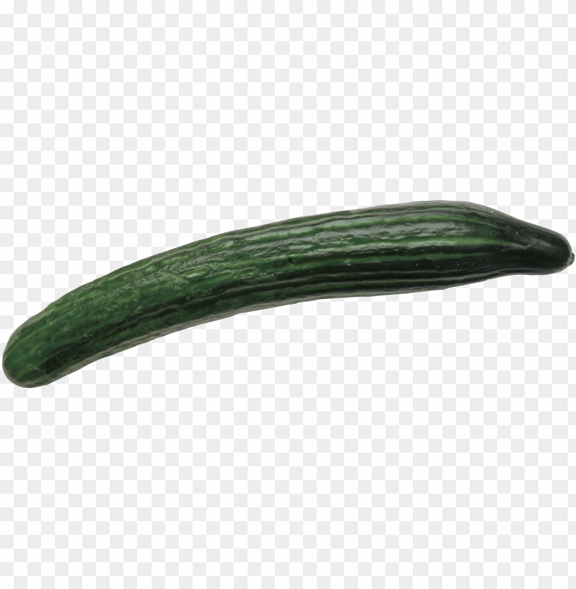 
cucumber
, 
food
, 
vegetable
, 
green cucumber
