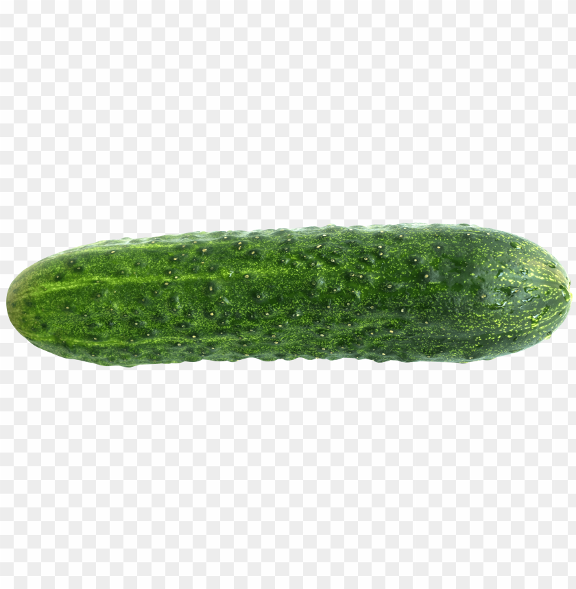 
cucumber
, 
vegetables
