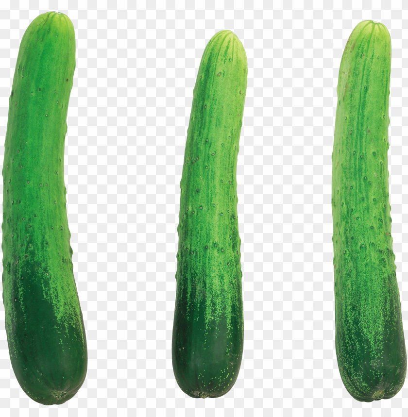 
cucumber
, 
food
, 
vegetable
, 
green cucumber
