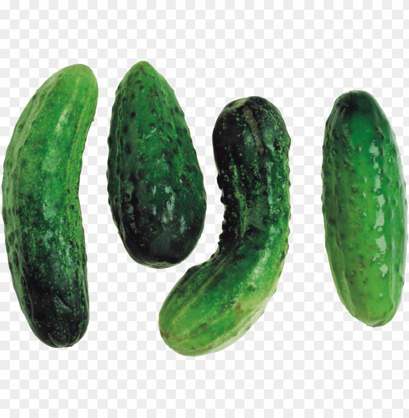 
cucumber
, 
food
, 
vegetable
, 
green cucumber
