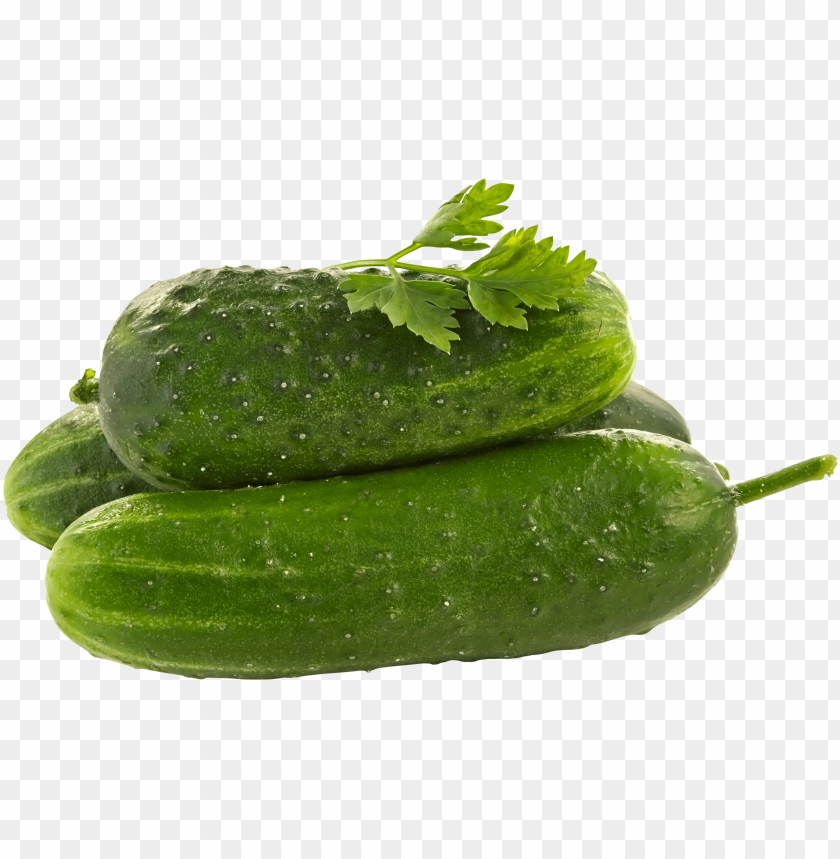 
cucumber
, 
food
, 
vegetable
, 
green cucumber
