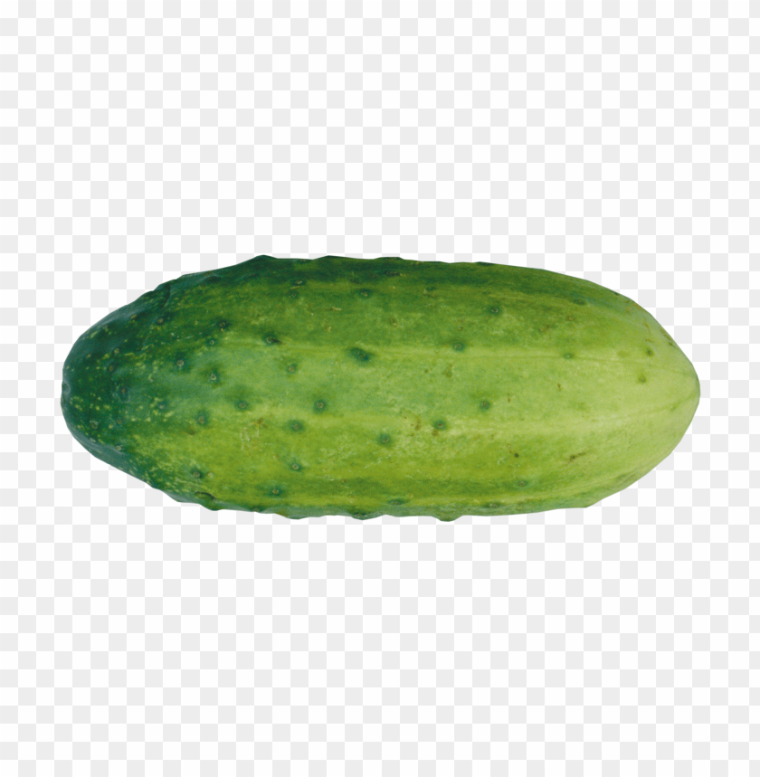 
cucumber
, 
food
, 
vegetable
, 
green cucumber
