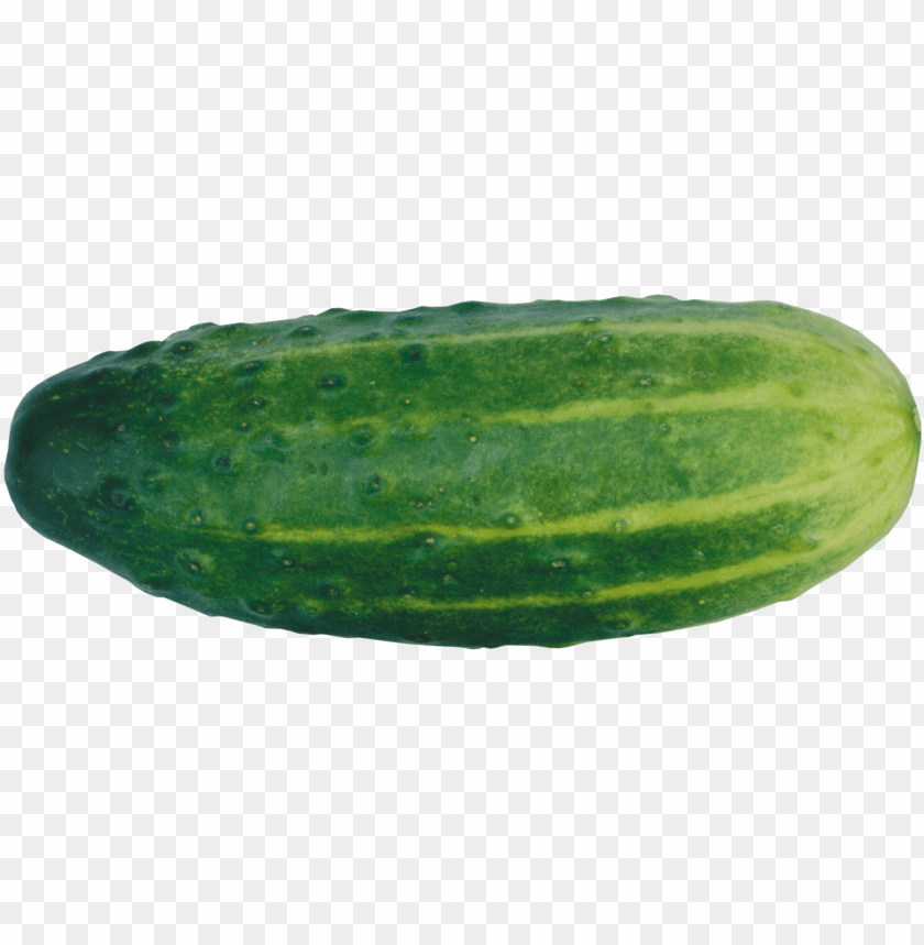 
cucumber
, 
food
, 
vegetable
, 
green cucumber
