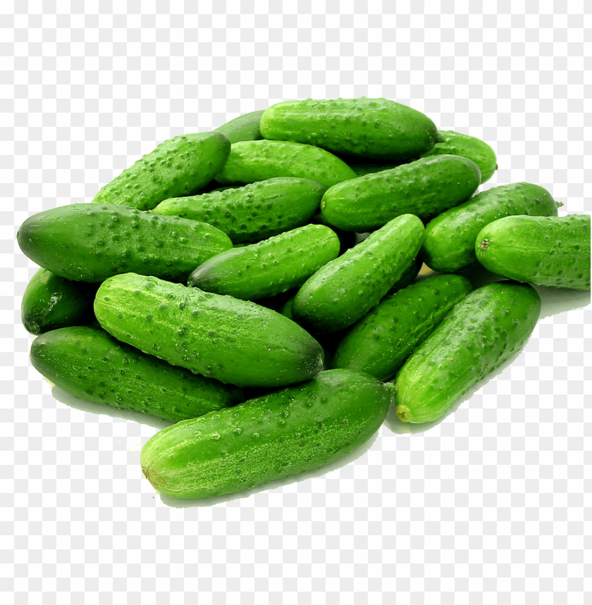 Cucumbers, Organic Cucumbers, Pickling Cucumbers, Slicing Cucumbers, English Cucumbers