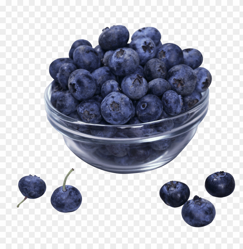 
berry
, 
fruit
, 
delicious
, 
drawing
, 
blueberry
