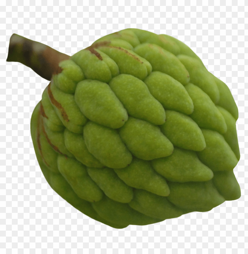 fruits, custard apple, sugar apple, annona, sweetsop