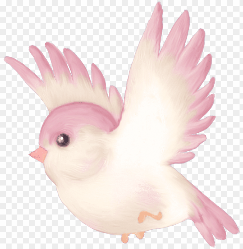 phoenix bird, twitter bird logo, big bird, bird wings, flappy bird pipe, bird