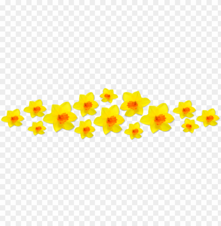 flowers, daffodils, blooming, yellow, garden