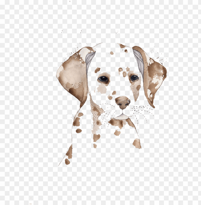 dog, logo, frame, vector design, square, flower vector, wallpaper