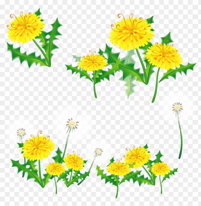 
dandelion
, 
bloom
, 
daisy
, 
dahlia
