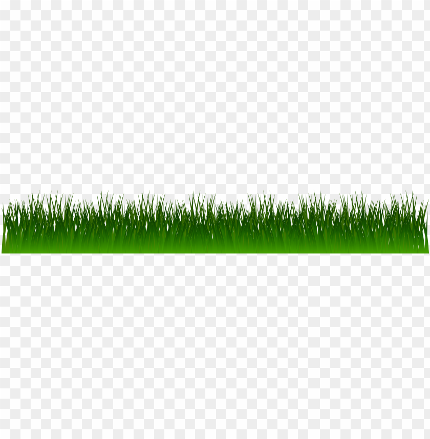 dark, grass