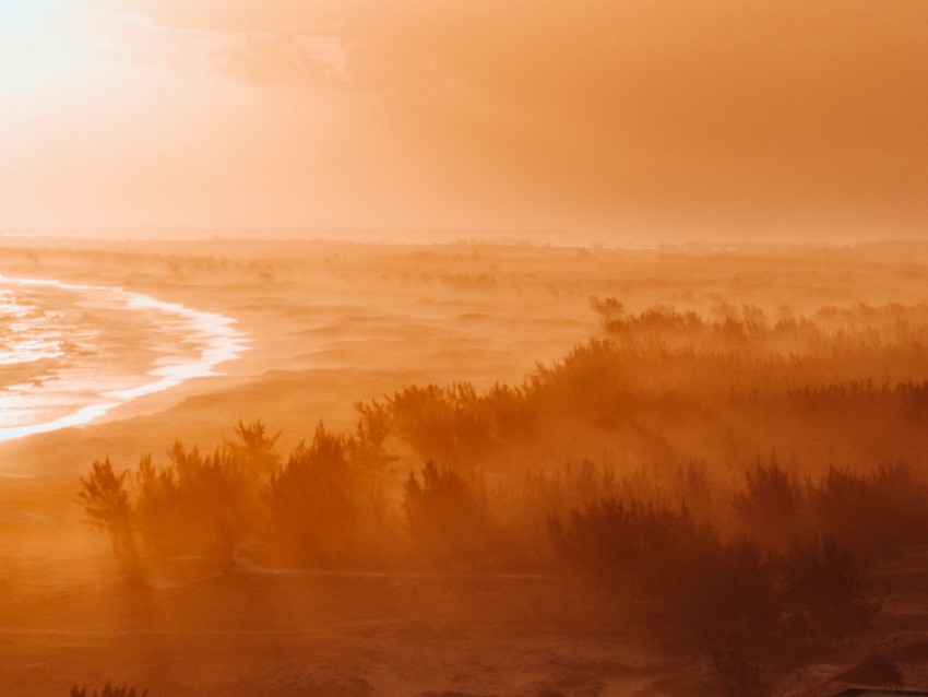 dawn, fog, sunlight, forest, shore, horizon